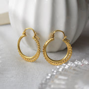 Twisted Hoops Gold
